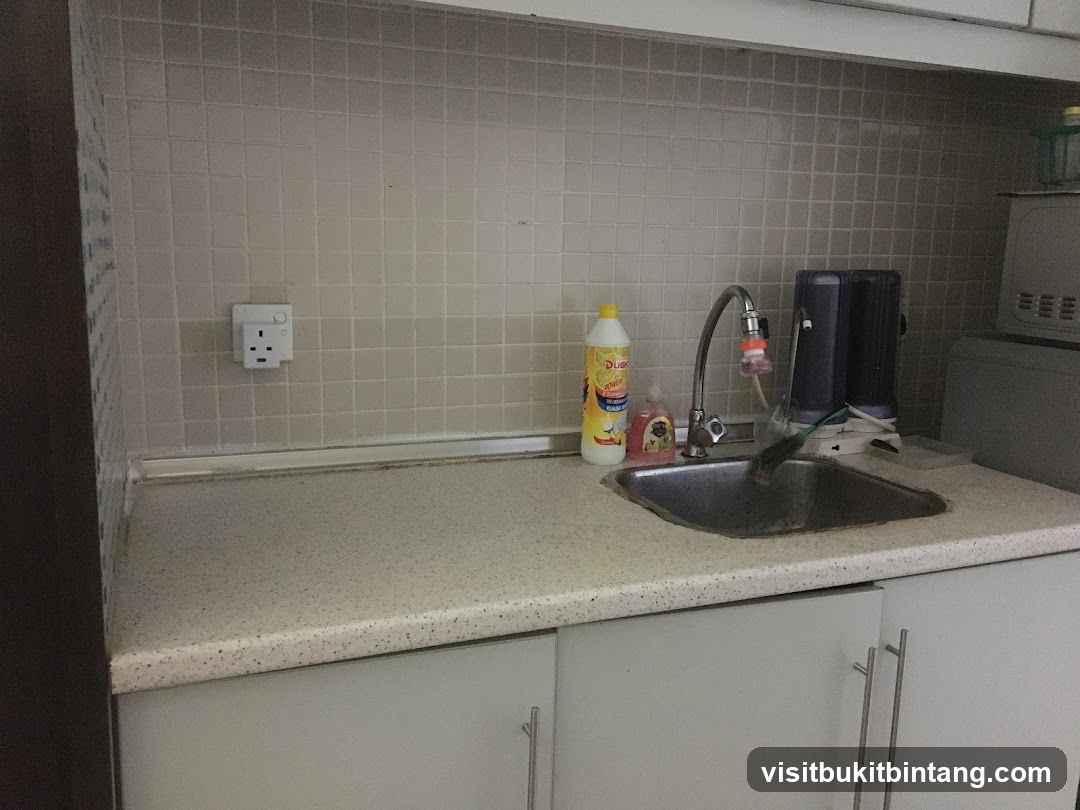 Kitchen Sink Area