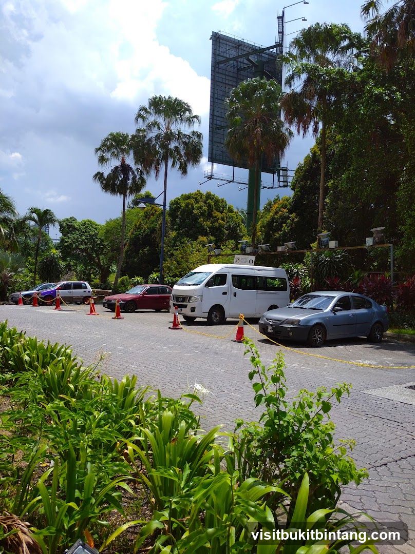 Parking Lot with Palm Trees and Billboard