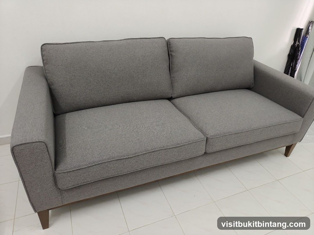 Gray Sofa