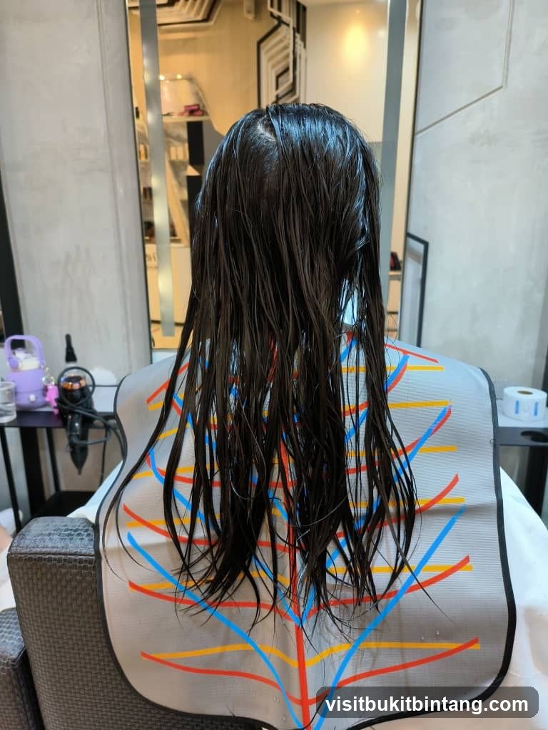 Hairdresser's Cape