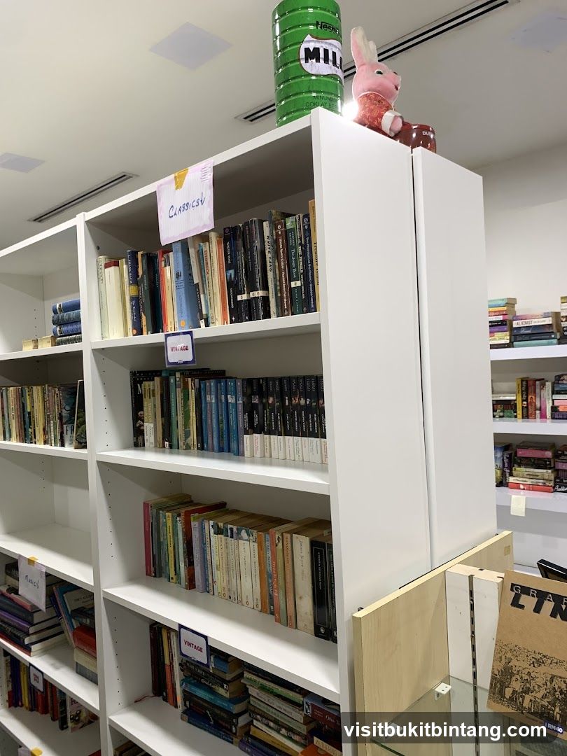 Bookshelves with books