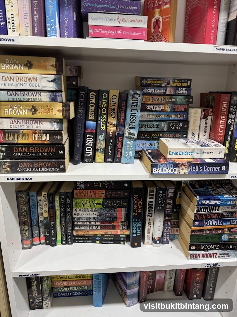 Bookshelves filled with novels