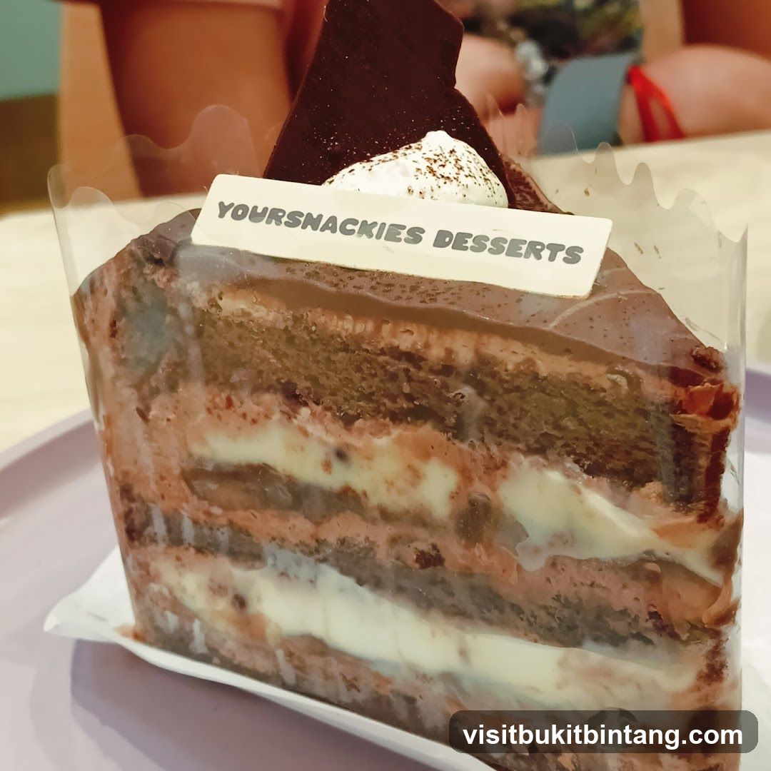 Chocolate Cake Slice