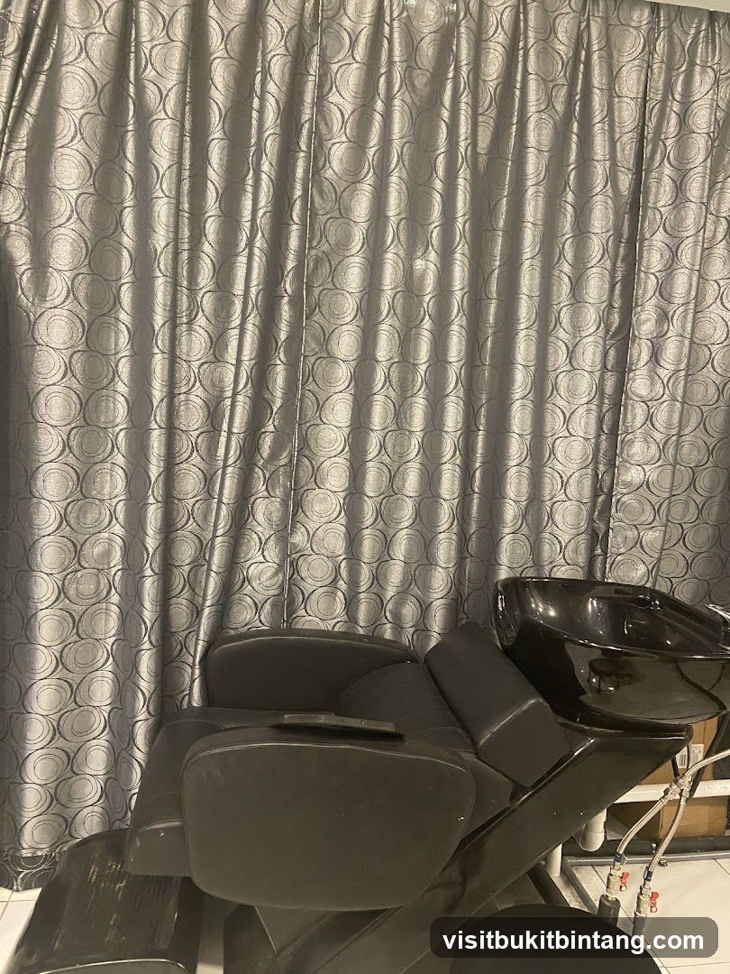 Shampoo Chair and Sink