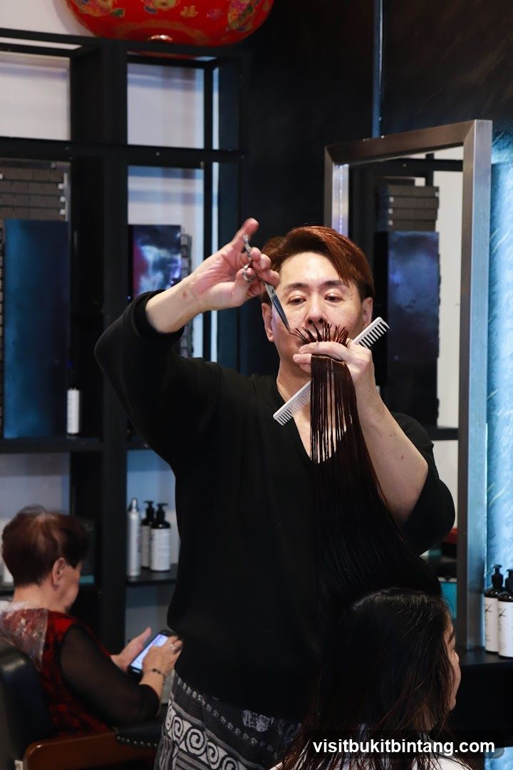 Hairdresser cutting hair