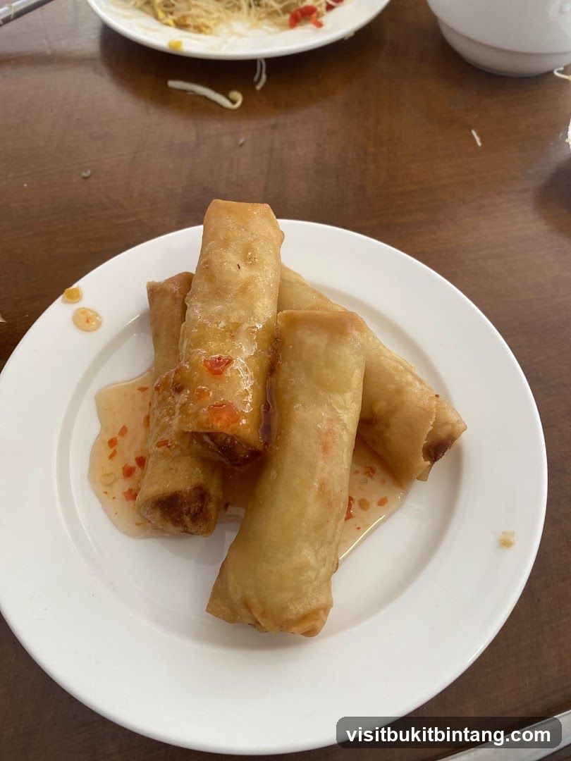 Spring Rolls