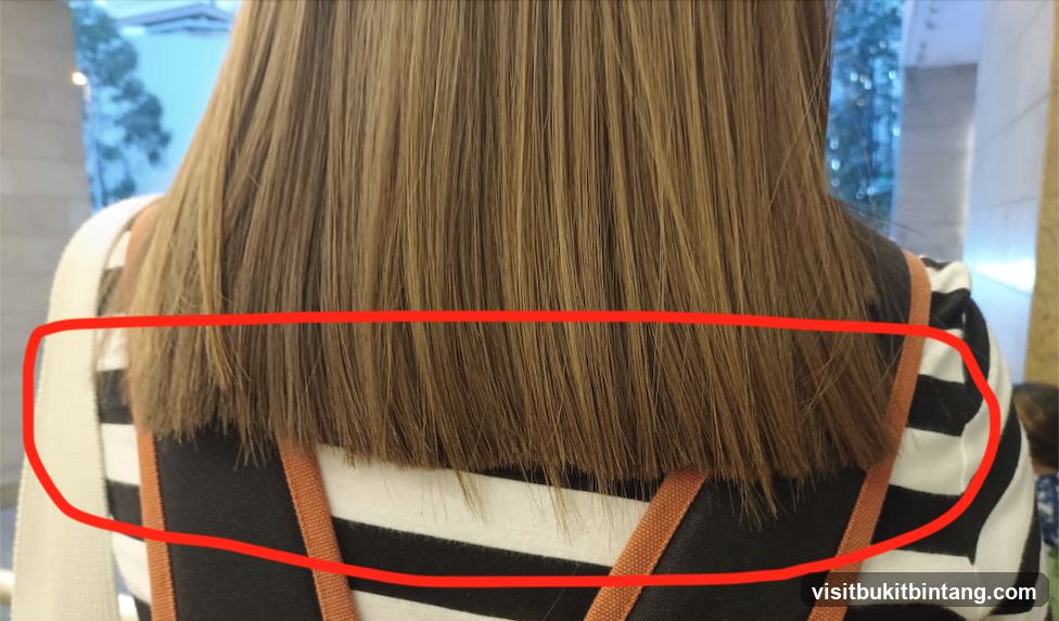 Back of a person with shoulder-length hair