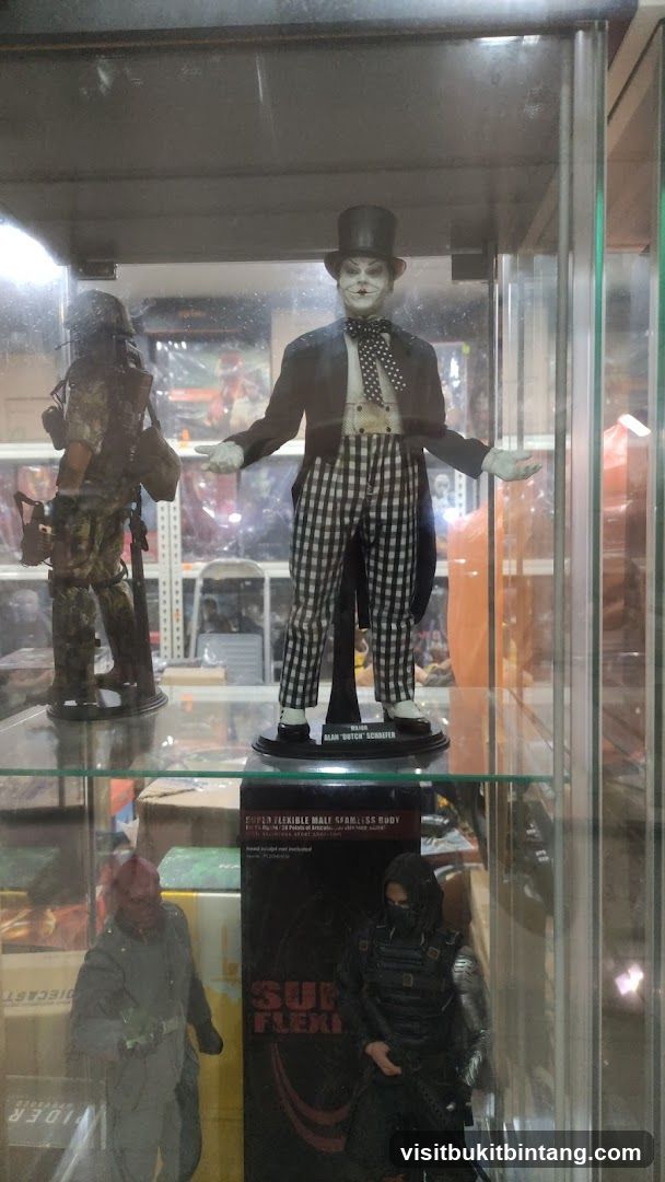 Action Figures in Display Case