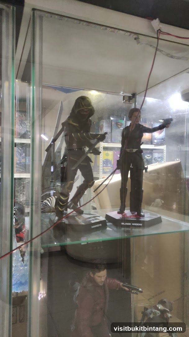 Action Figures Display