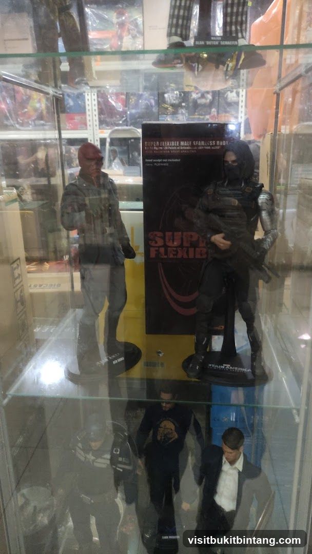 Action Figures in Display Case