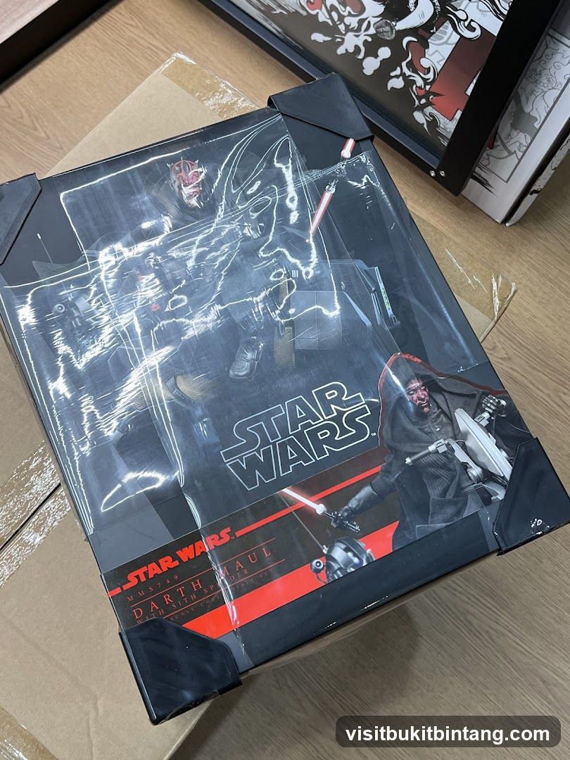Star Wars Darth Maul Figure Box