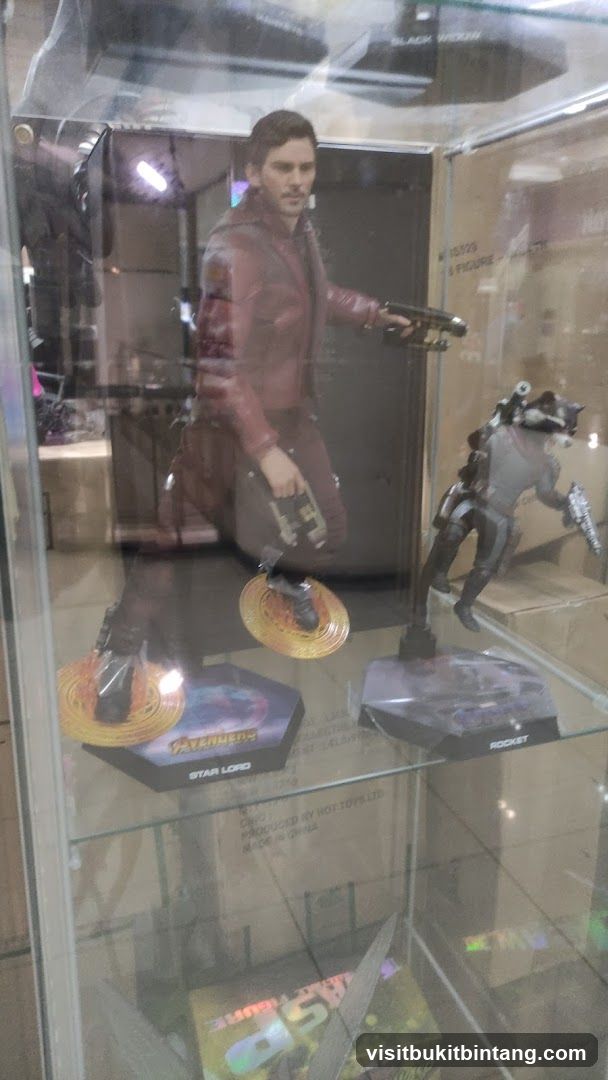 Action Figures in Display Case