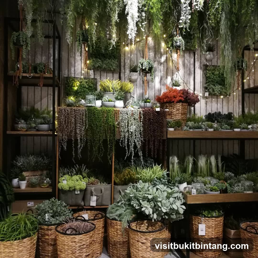 Indoor Plant Display