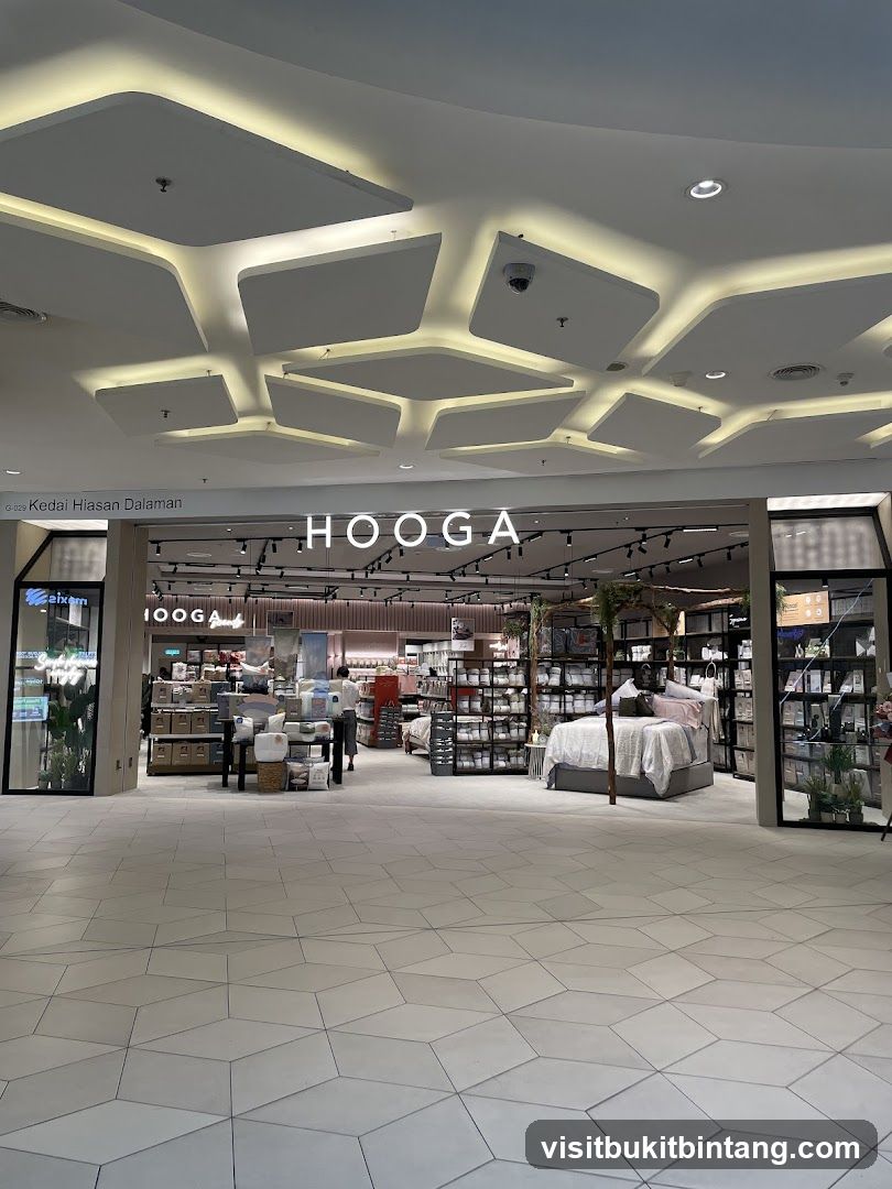 HOOGA I THE STARLING