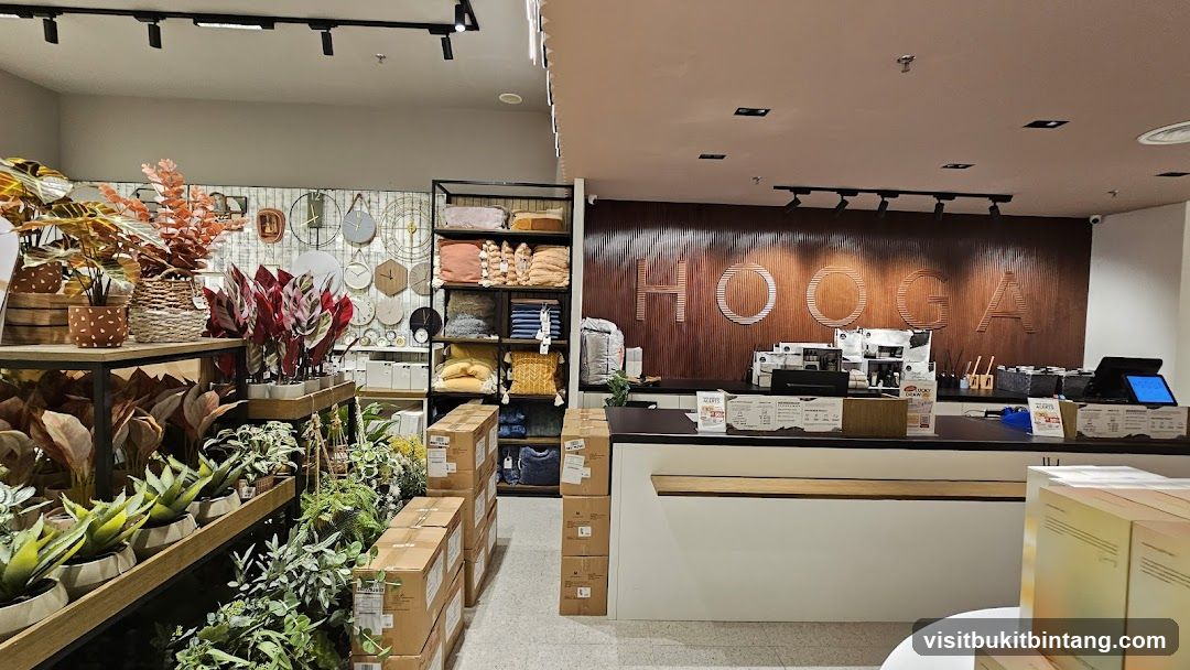Store Interior with Plants and Home Decor