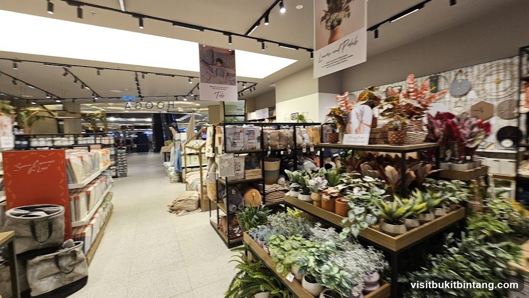 Home Goods Store Interior