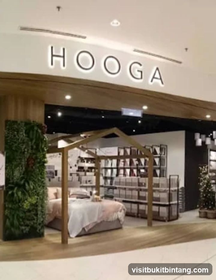 HOOGA I THE STARLING