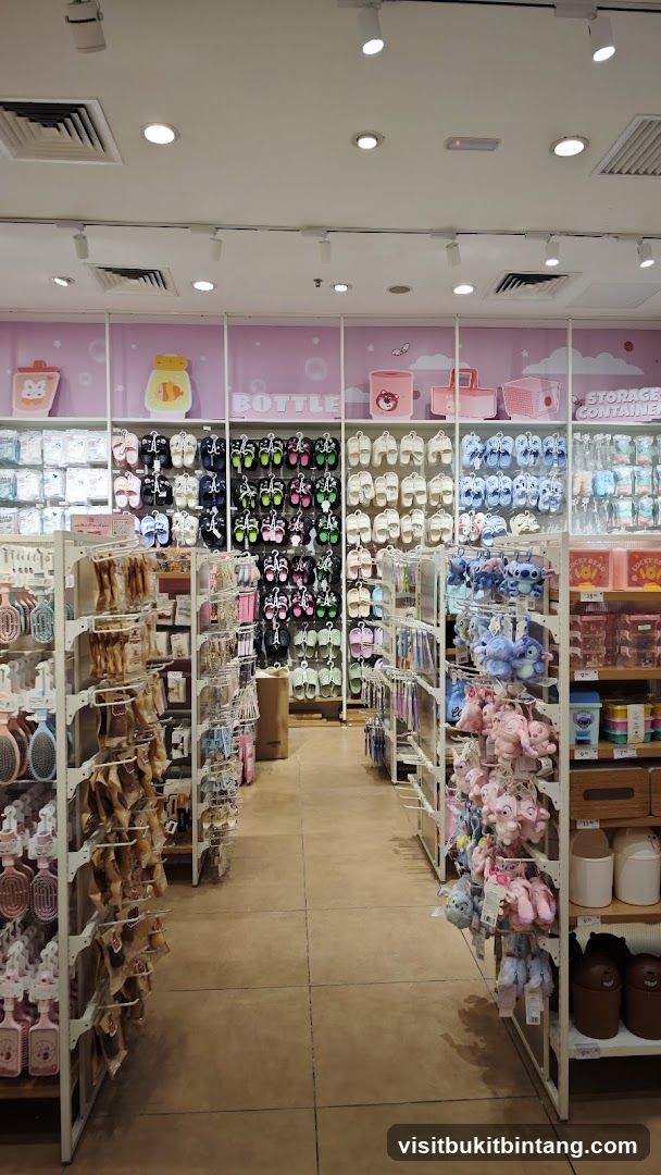 Store Interior with Shelves of Merchandise