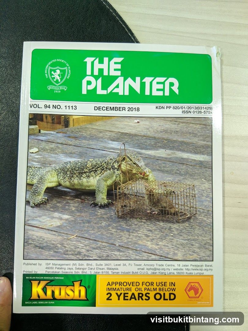The Planter Magazine Cover