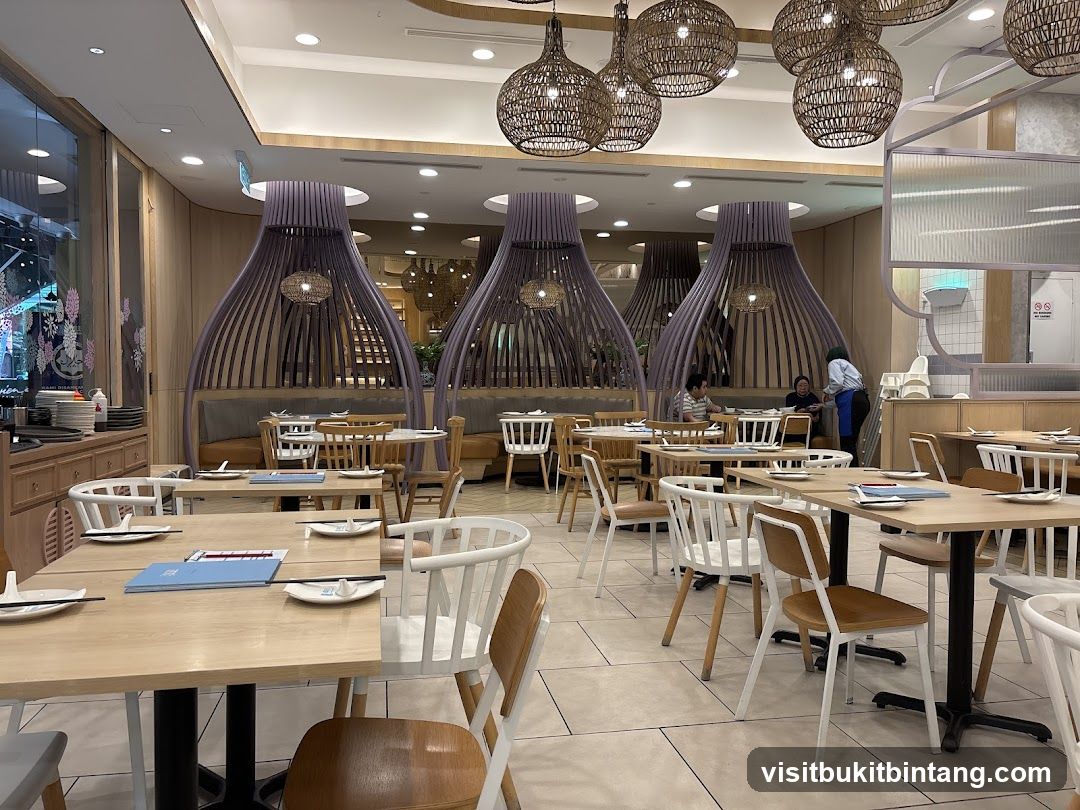 Dolly Dim Sum • The Curve