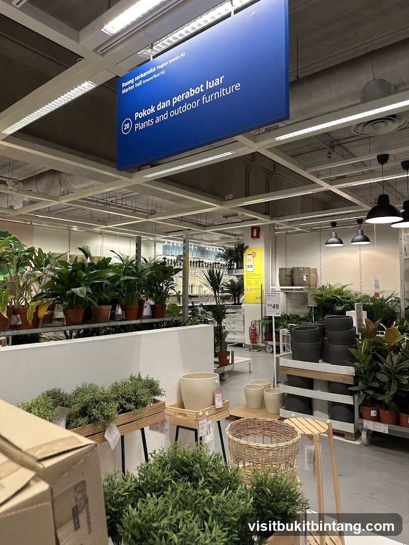 Plants and Outdoor Furniture Section