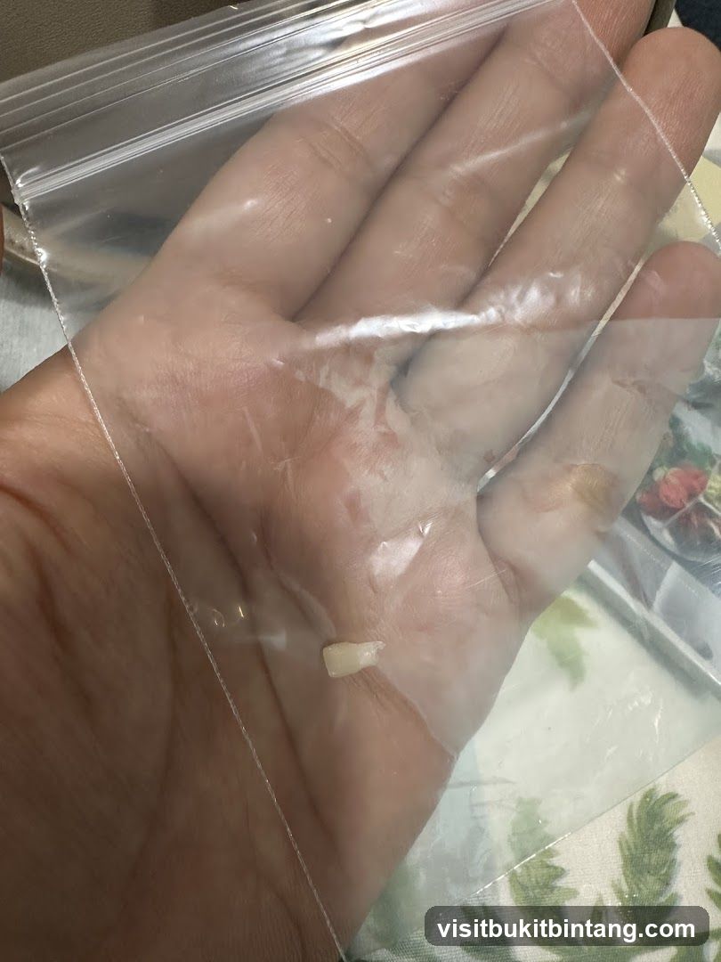 Tooth in a Bag