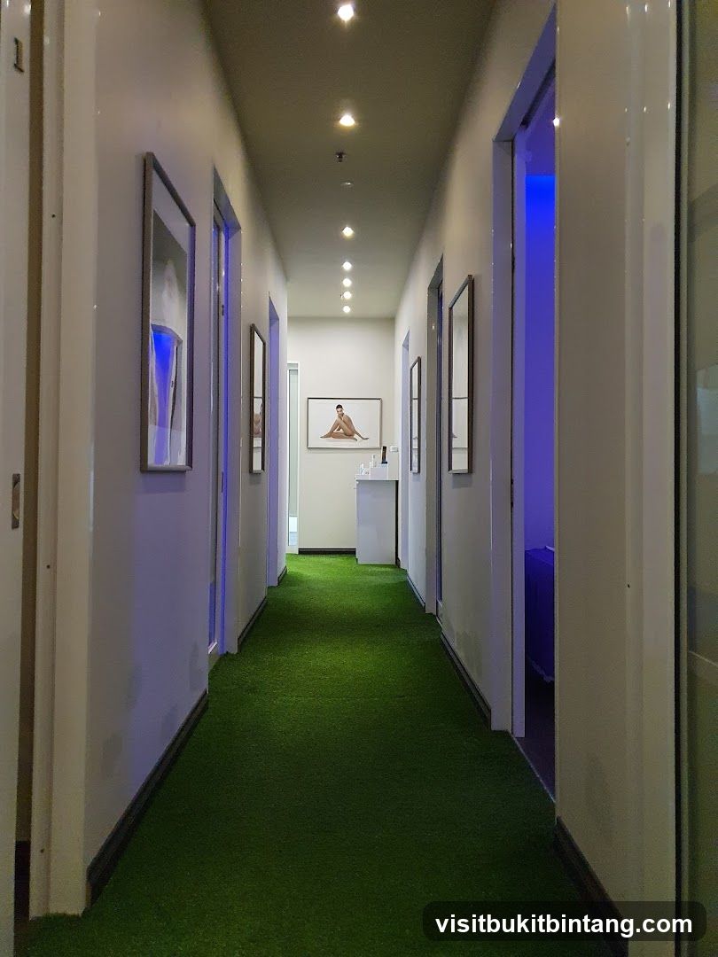 Hallway with Artificial Grass Carpet