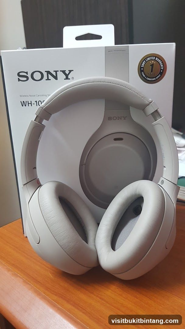 Sony WH-1000XM4 Headphones