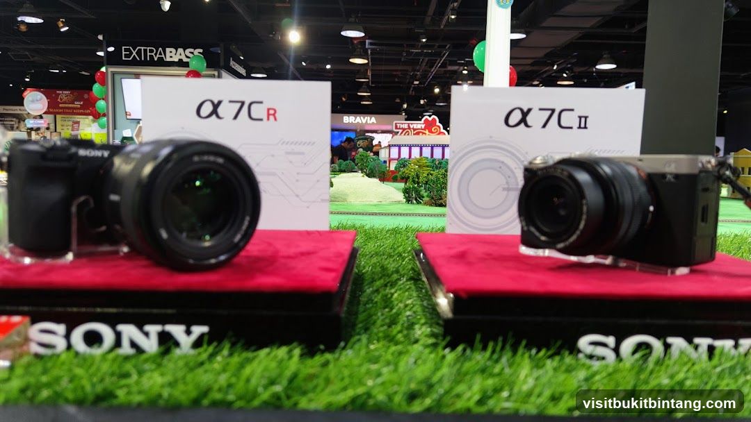 Sony Alpha Cameras Display