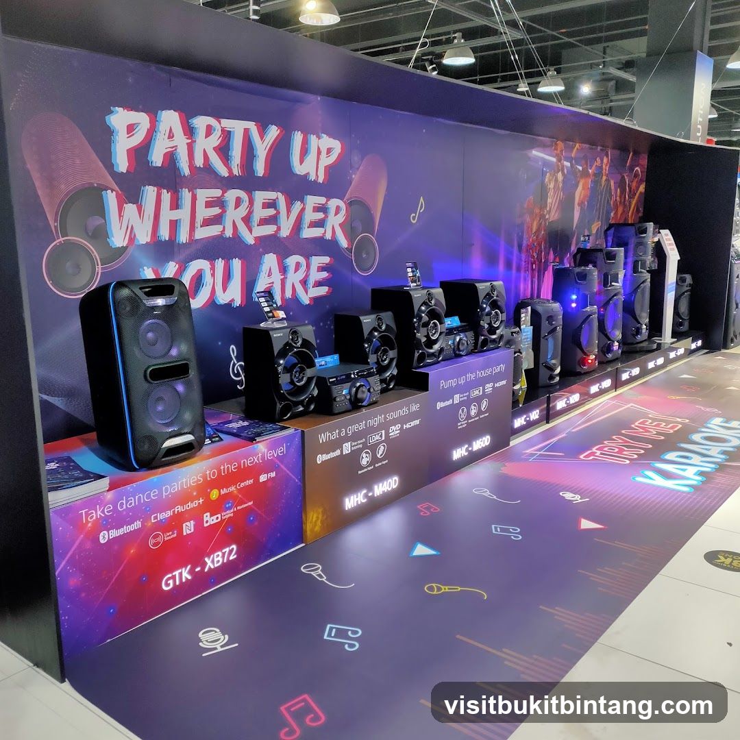 Sony Audio System Display
