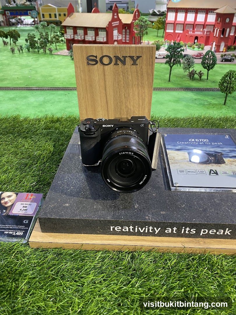Sony Alpha Camera Display