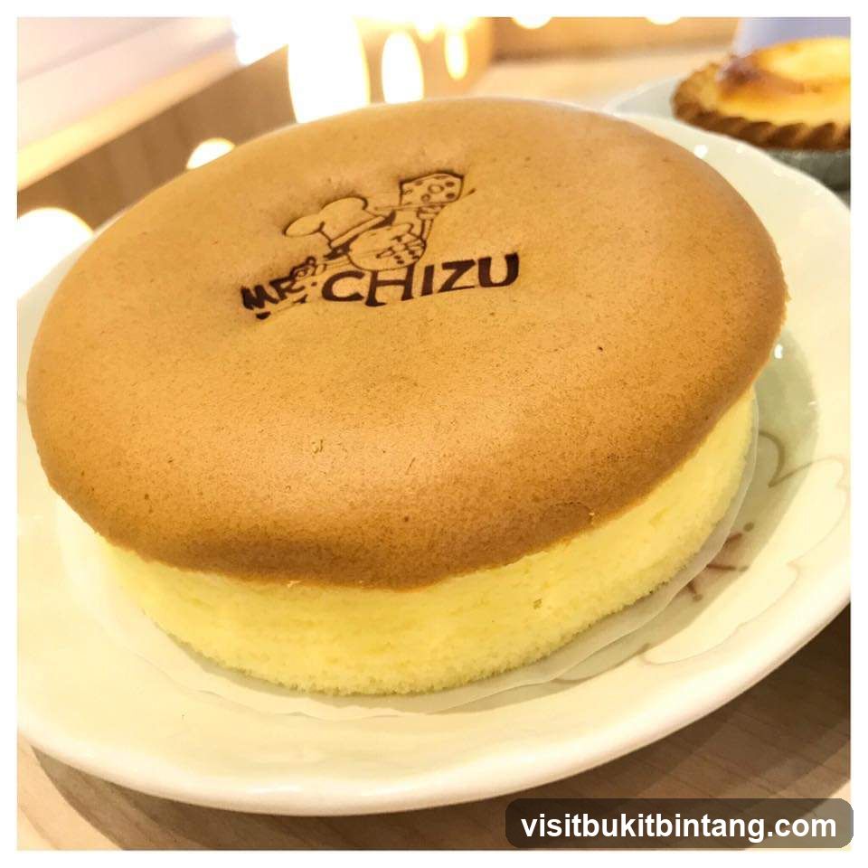 Mr. Chizu Cheesecake