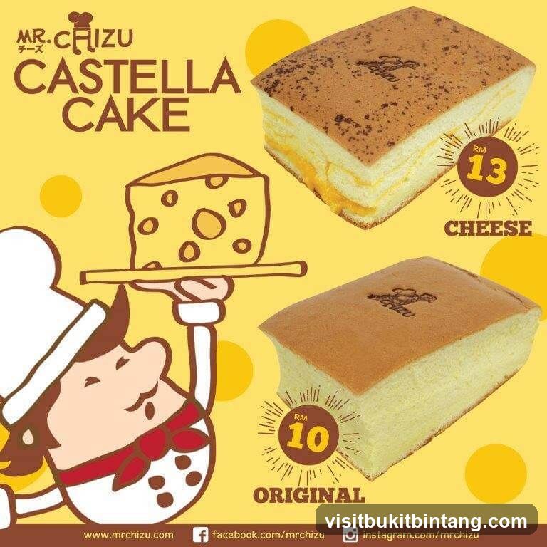 Mr. Chizu Castella Cake Advertisement