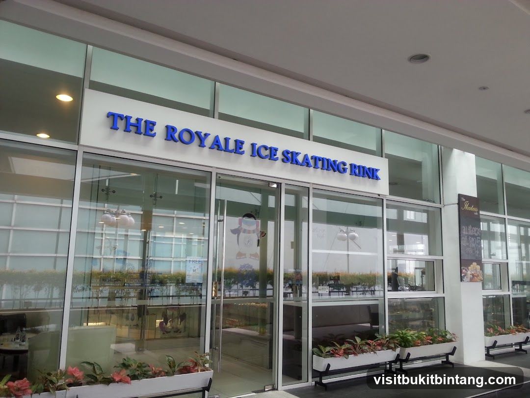 Ice Dynasty Ice Skating Rink