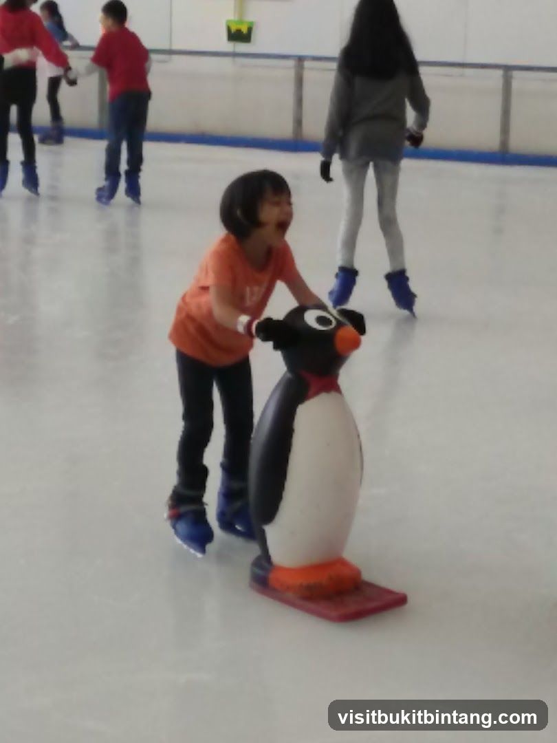 Ice Skating Fun