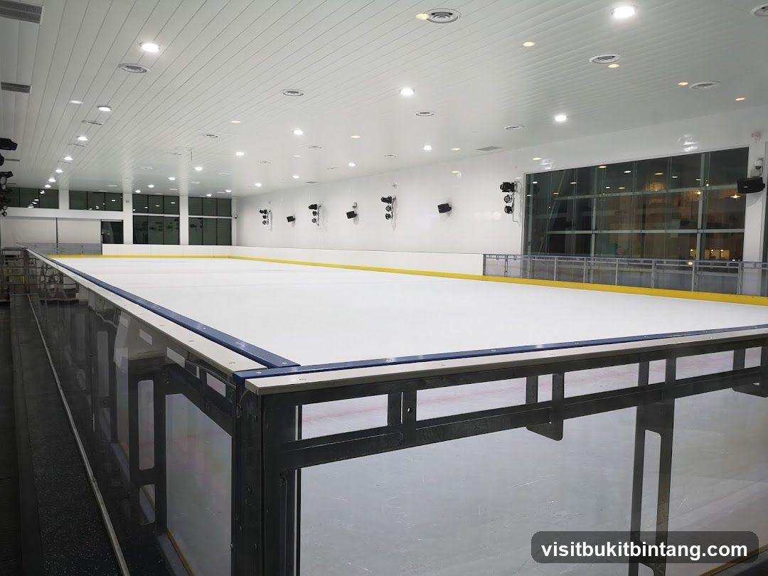 Ice Skating Rink