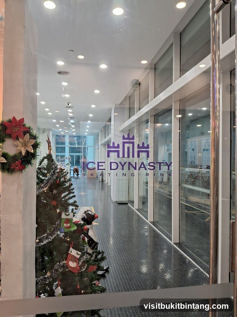 Ice Dynasty Skating Rink