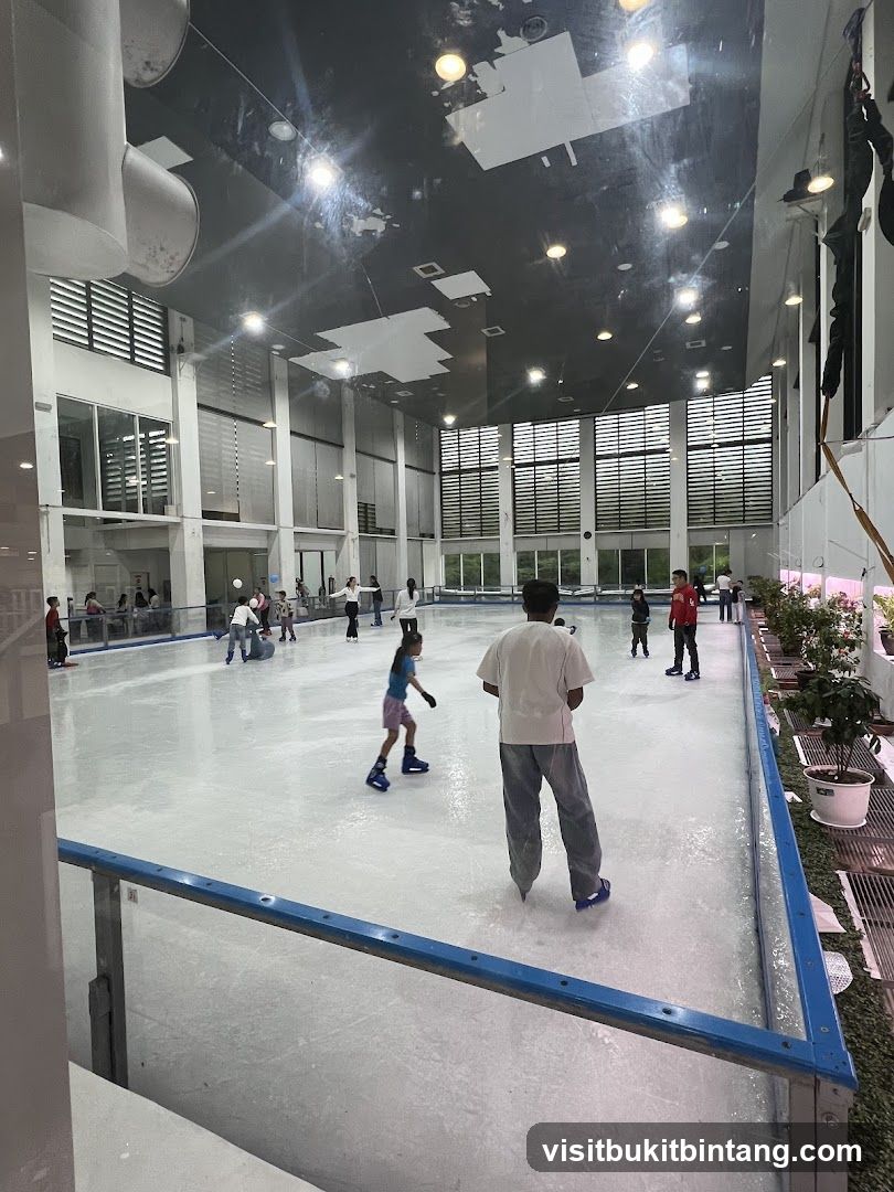 Ice Skating Rink