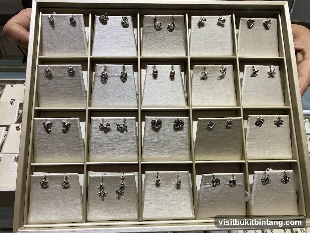 Earrings Display
