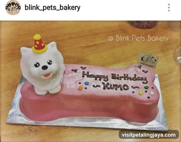 Blink Pets Bakery Cake