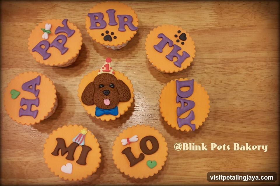 Pet Birthday Cupcakes