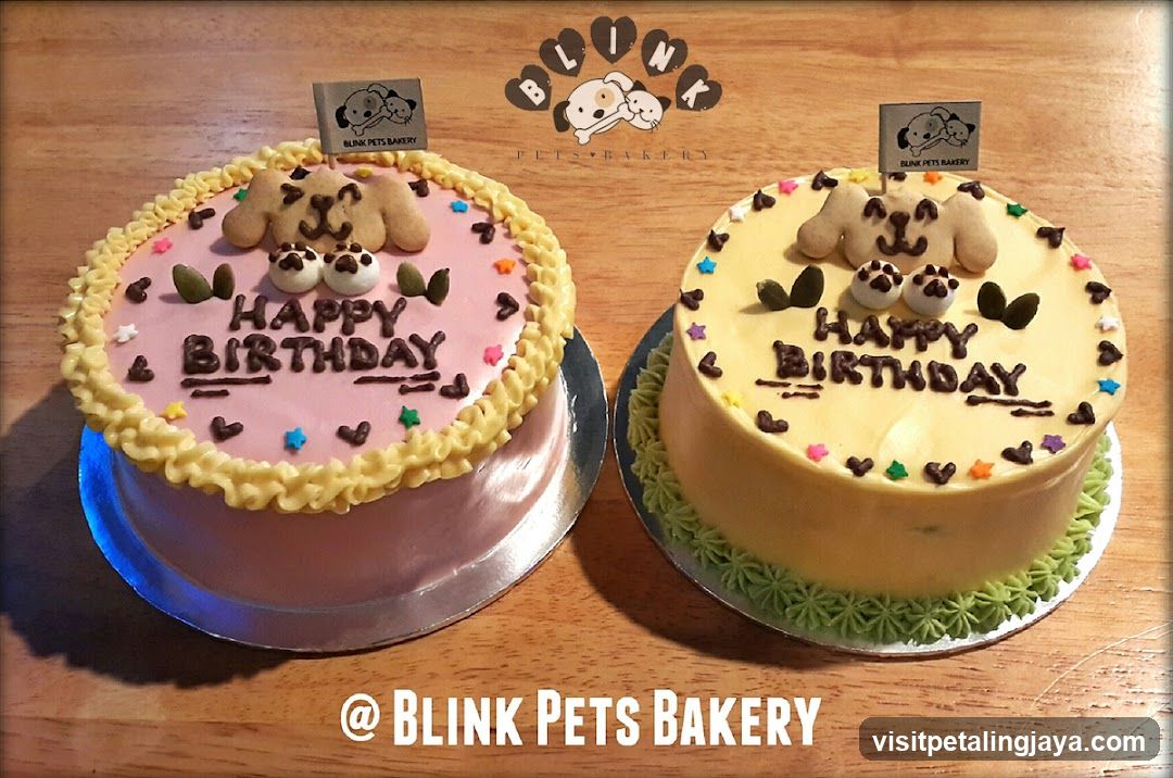 Blink Pets Bakery Cakes