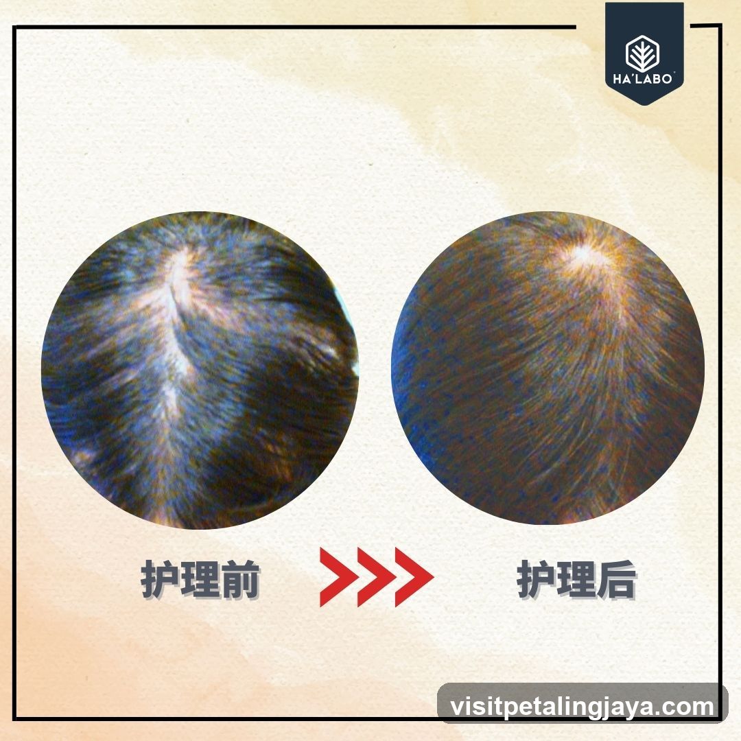 Hair Care Before and After Comparison