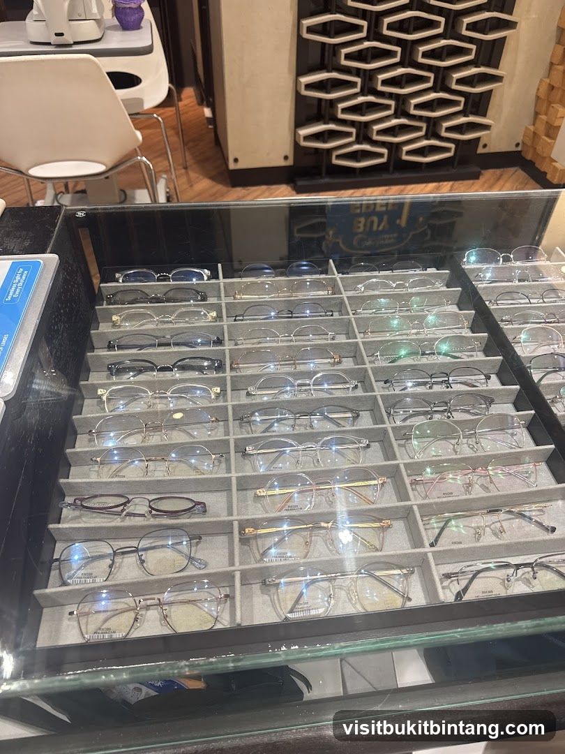 Eyeglasses Display