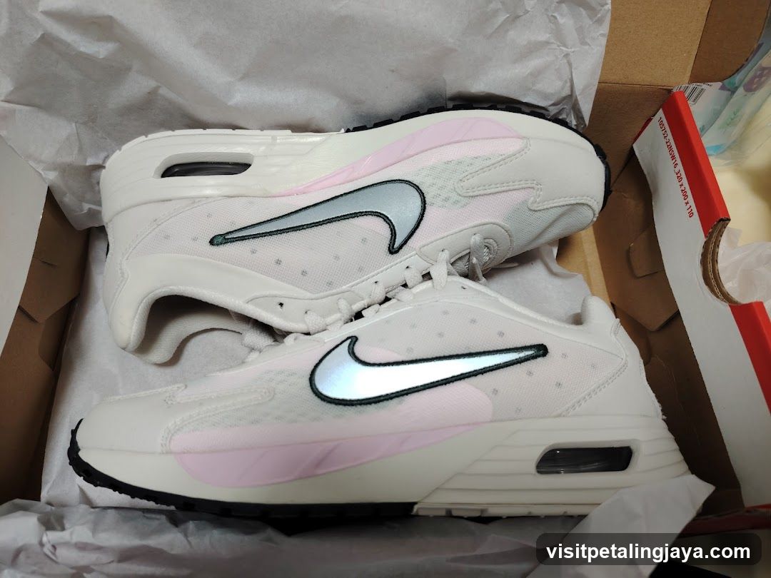 Nike Air Max Shoes in Box