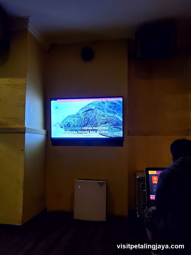 Movie Room Interior