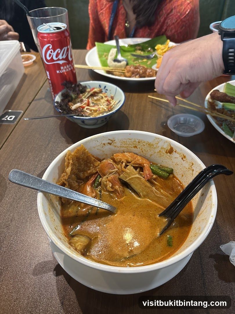 Meal with Curry Laksa and Coca-Cola