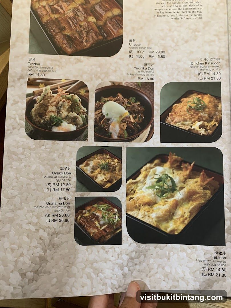 Donburi Menu