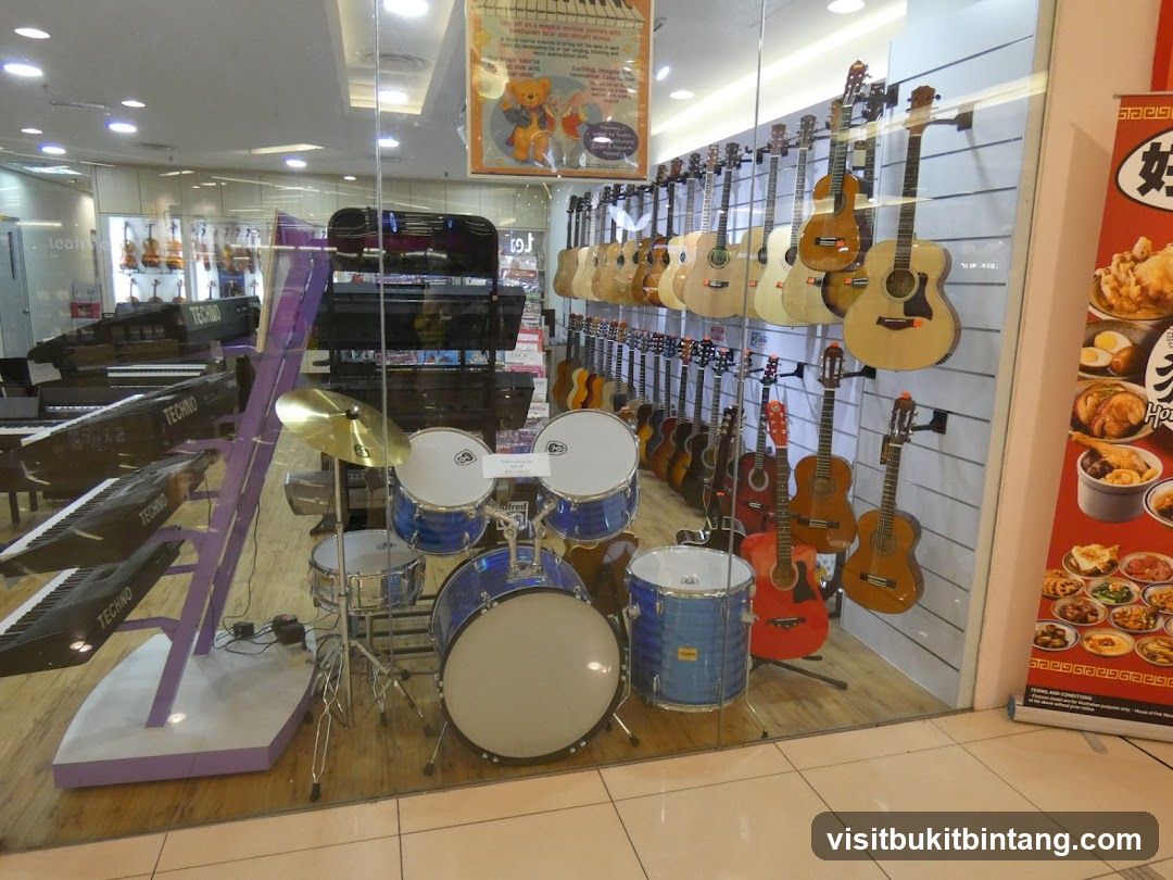 Musical Instruments Store