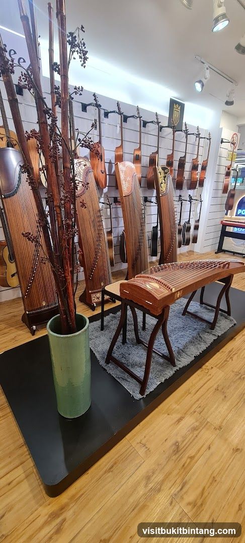 Musical Instrument Display